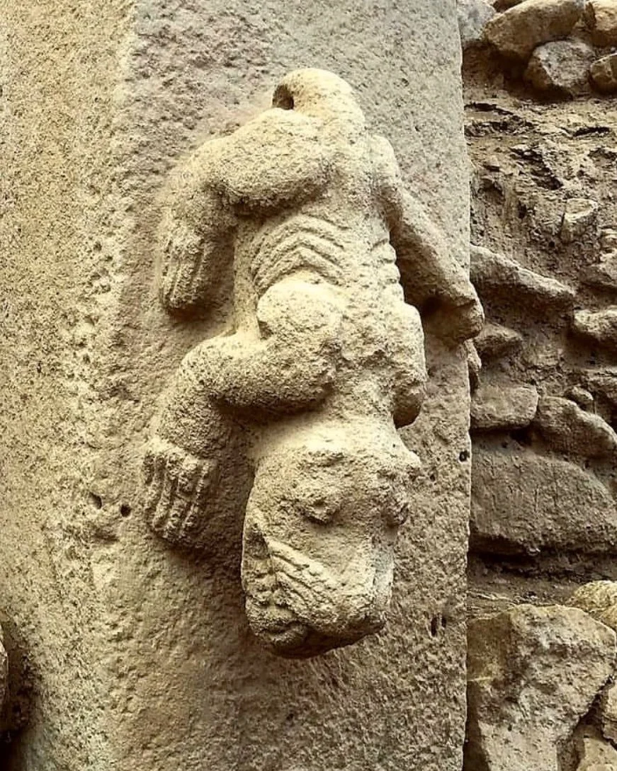 A predator carved in relief with rib markings on a Göbekli Tepe pillar