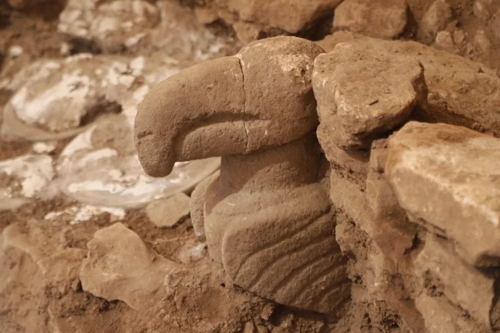The vulture sculpture found in the Ribbed Man's chamber at Karahan Tepe