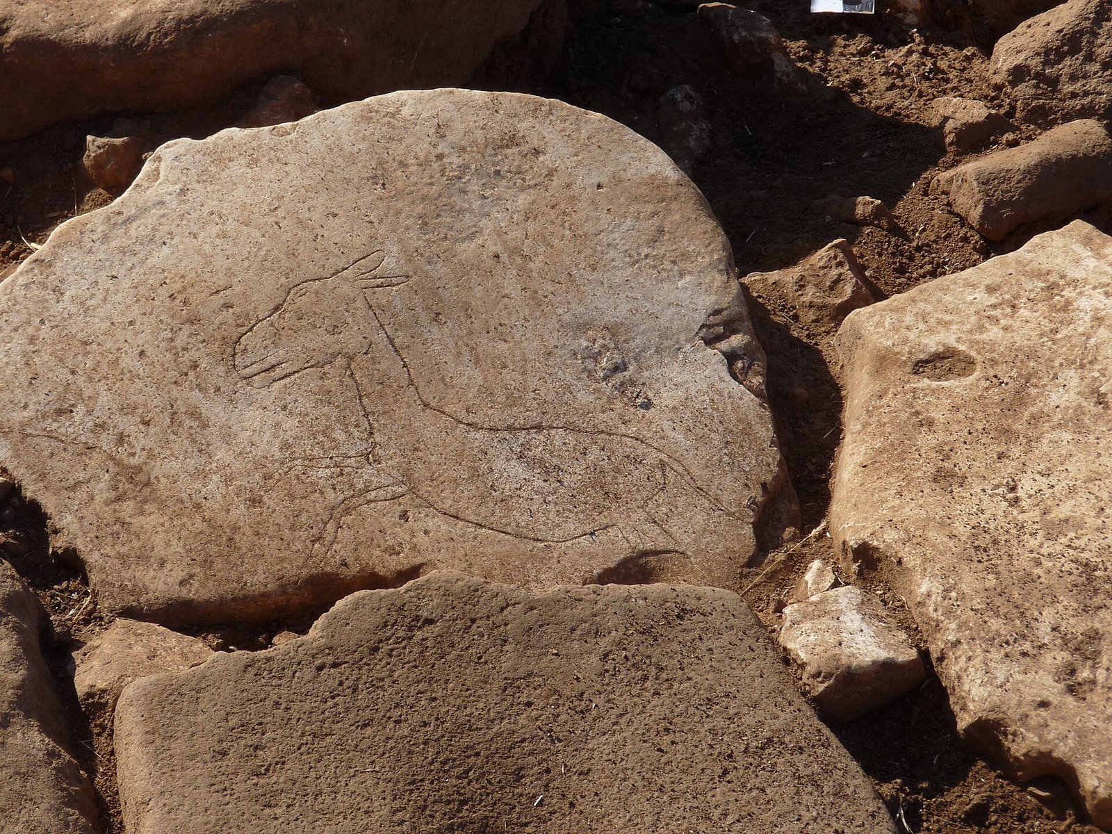 A gazelle engraved on a stone slab at Karahan Tepe