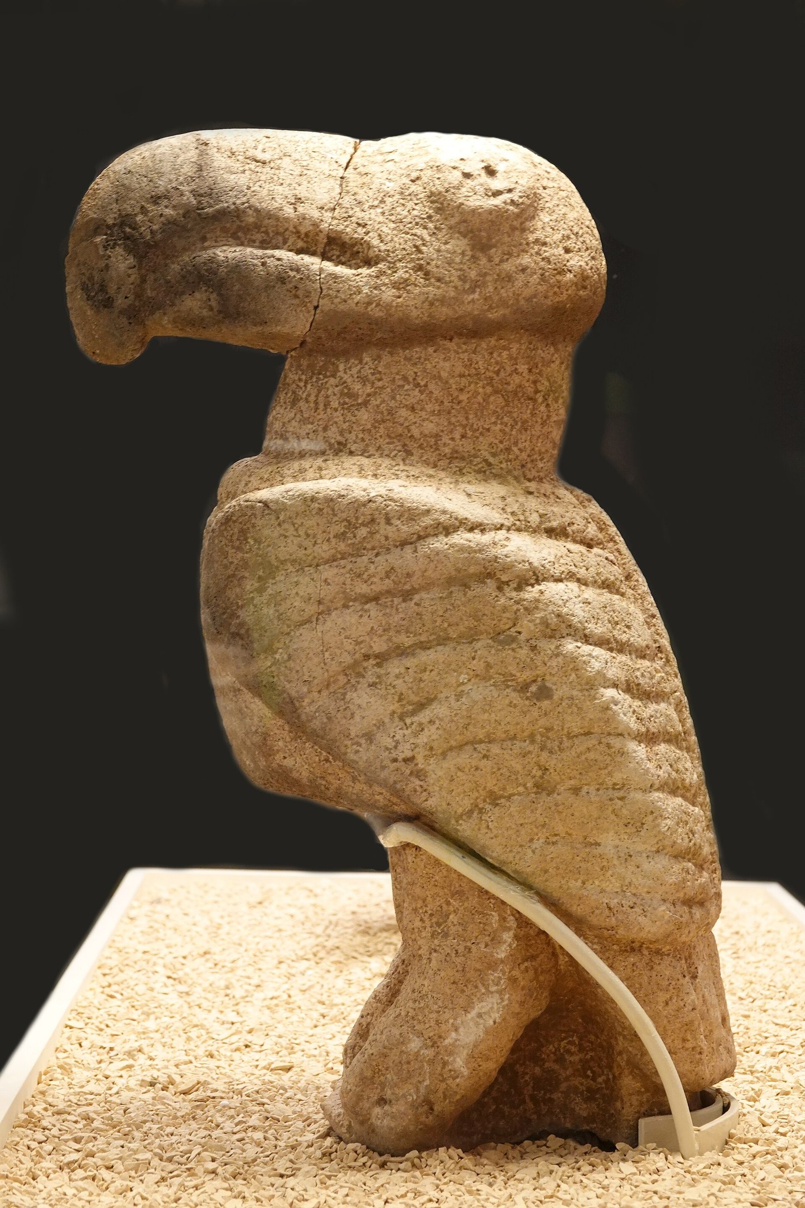 The griffon-vulture sculpture from Karahan Tepe, Şanlıurfa museum