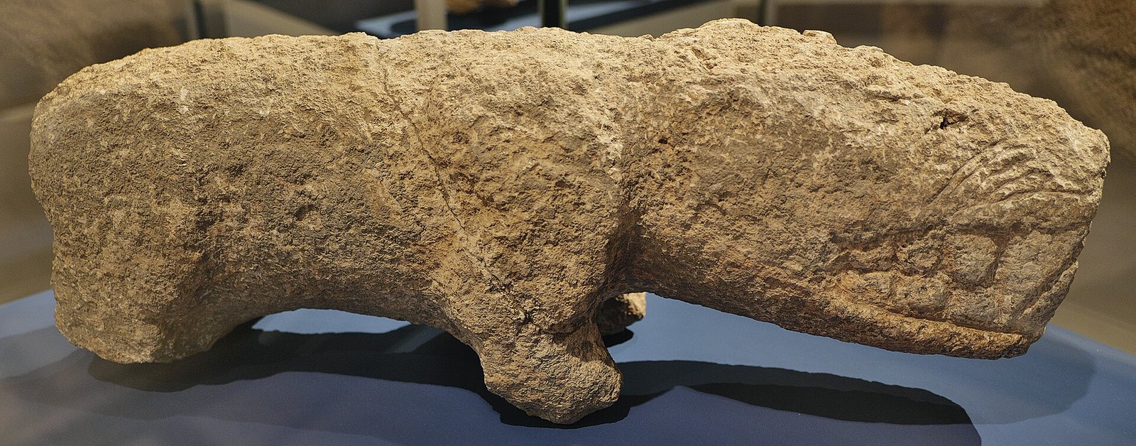 A leopard sculpture from Karahan Tepe in a museum collection